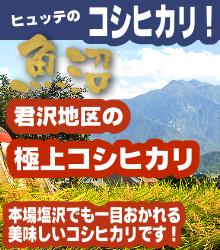 君沢地区の極上魚沼産コシヒカリ